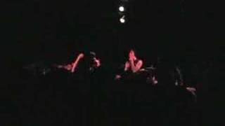 A Lama Eats A Giraffe And Vice Versa