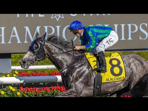 Gai & Adrian TV - 29th November 2025