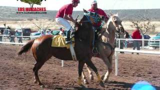 grupo laberinto la coqueta