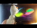Olaf Watches The THX Broadway Logo