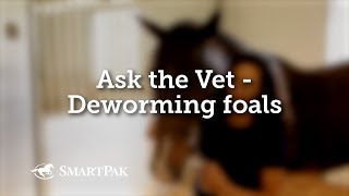 Ask the Vet - Deworming foals