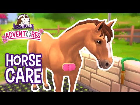 HORSE CLUB Adventures – Horse care
