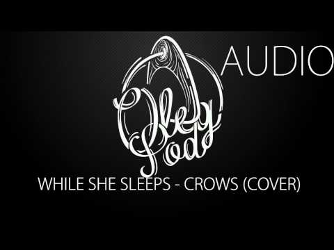 OlegPod - Crows (While She Sleeps instrumental cover)