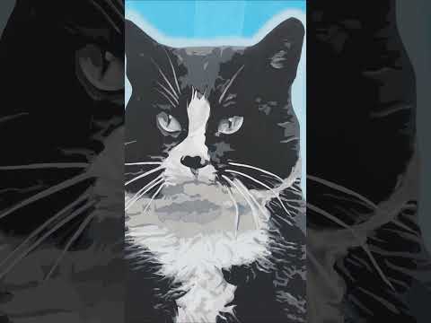 A kto tu tak na Was patrzy? 😉 To kot Gacek ze Szczecina ❤️