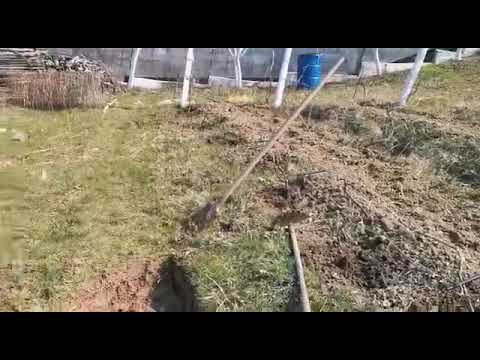 Nu m-am născut obosit - cu preot Ioan.