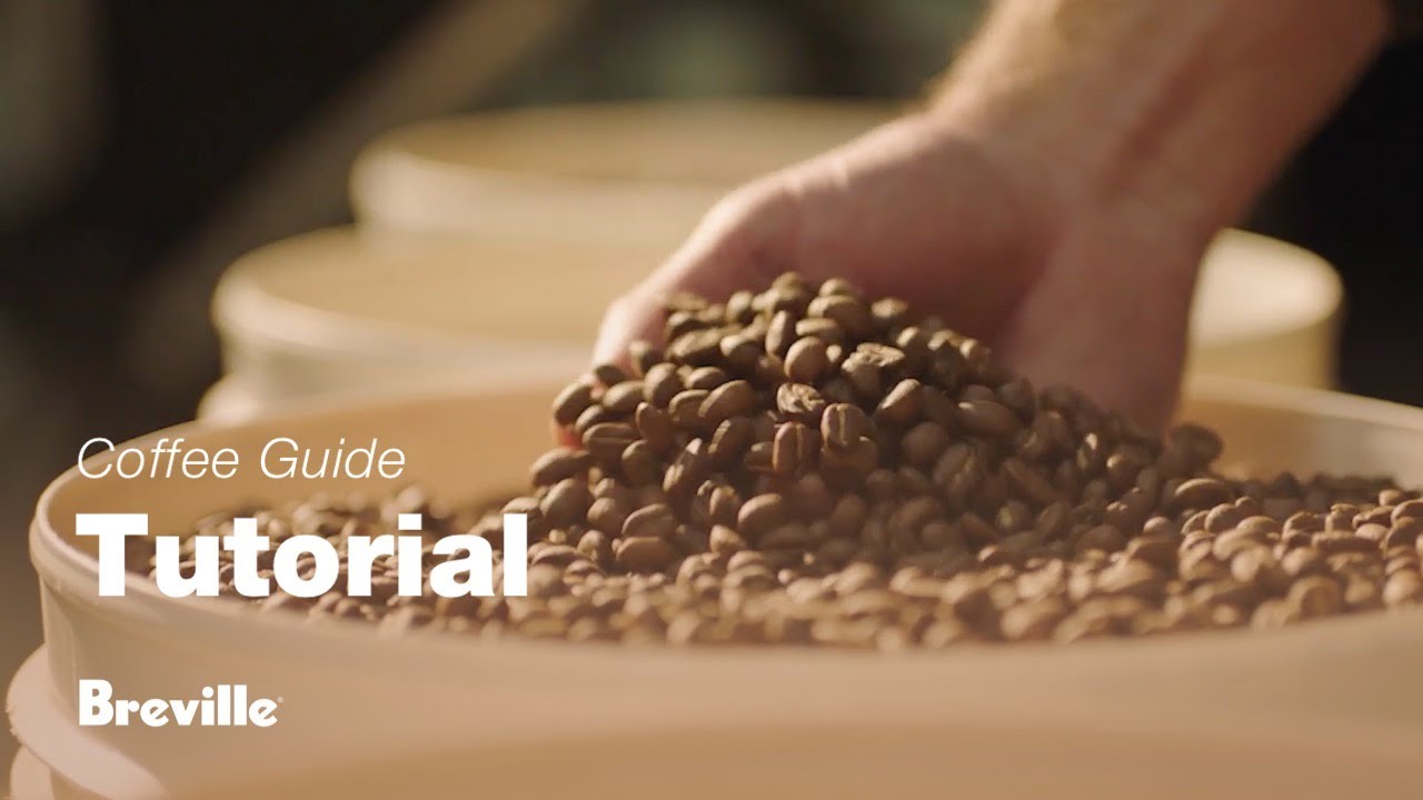 Choosing the right beans 