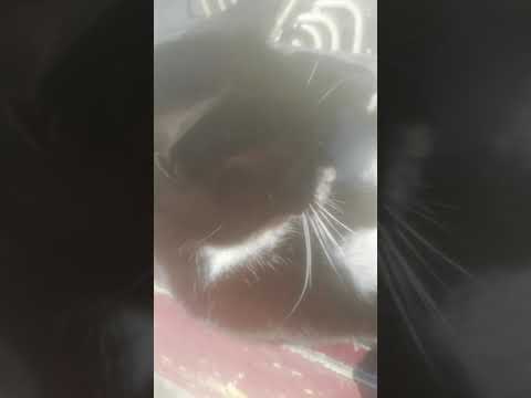 20 de agosto de 2021