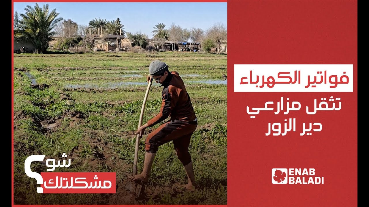 فواتير الكهرباء تثقل مزارعي دير الزور | شو مشكلتك