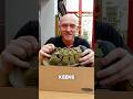 KEEN Men S Newport H2 Sandal Review