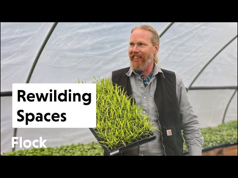 REWILDING Spaces with NATIVE, BIOREGIONAL PLANTS — Ep. 093