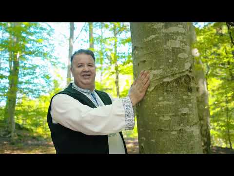 Traian Frincu  - Viata, viata mult mi esti draga!