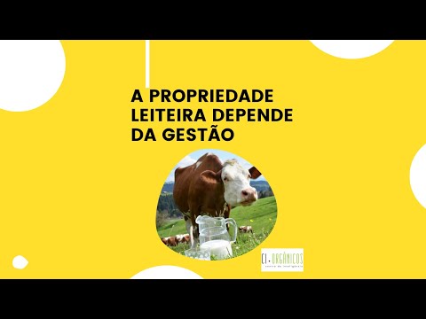 A propriedade leiteira depende da gestão