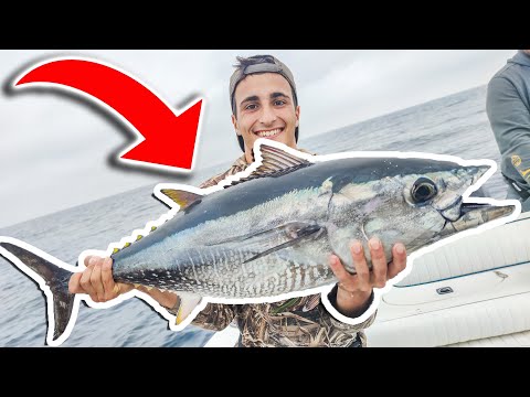 MY FIRST BLUEFIN TUNA! TUNA FISHING!