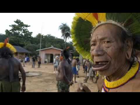 xingu   conservation international