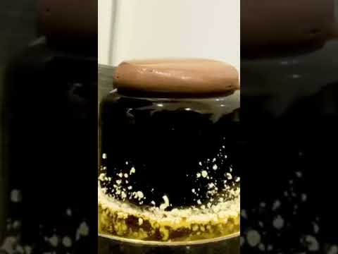 chocolate crunchy hazelnut mousse cake|hazelnut deesert|d-55 ganache|unique ramee chef