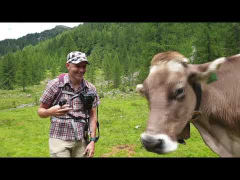 Mein Weg durchs Maggiatal