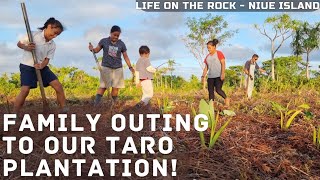 Our Family Time Out To The Old Plantation! | Taro Farming | Our Local Office!