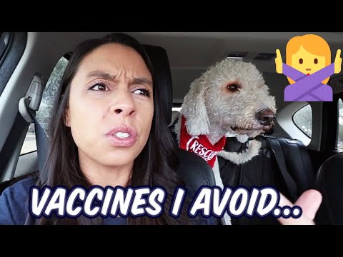 Dog Vaccines I Regret 😬 Car Vaccination Rant!