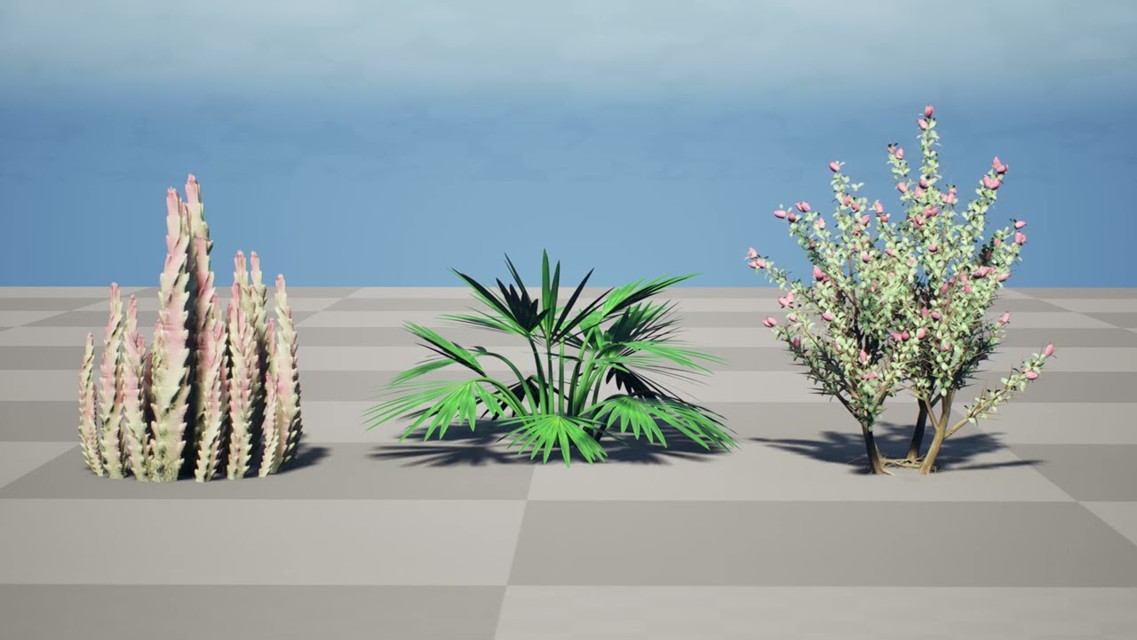 Pacchetto flora selvaggia del deserto arabo Modello 3D
