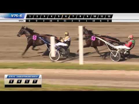 Dansk Trav Derby 2020 - Extreme
