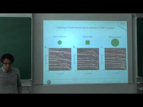 Joo-Von Kim Magnetization Dynamics in  Chiral Spin Textures