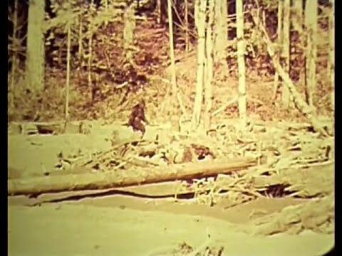 Bigfoot Man or Beast BEST Sasquatch documentary 1972 Patterson-Gimlin film Robert Morgan full movie