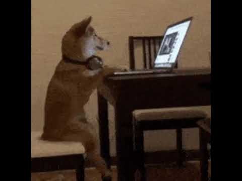 [FREE] BHZ x  Makko x Lugatti & 9ine Type Beat