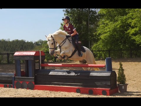 π Schoolmaster All-Rounder π - Image 2