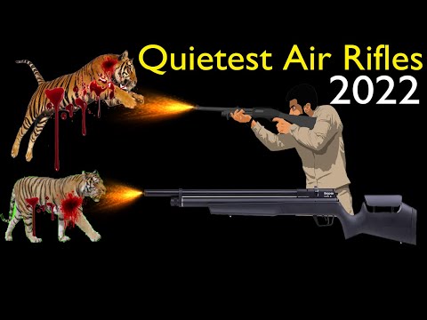 Top 7 Best Quietest Air Rifles 2022