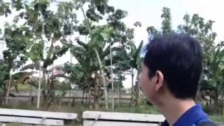 preview picture of video 'Jalan2 di Kembang Baru, Maguwoharjo, Sleman'