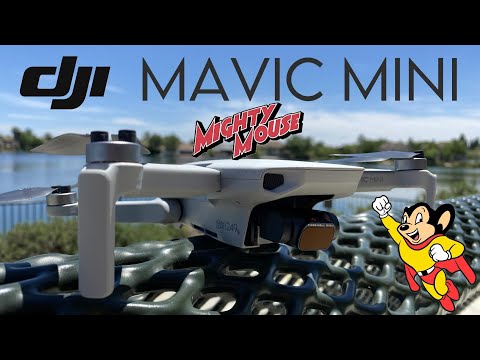DJI Mavic Mini | The Forgotten Mighty Mouse