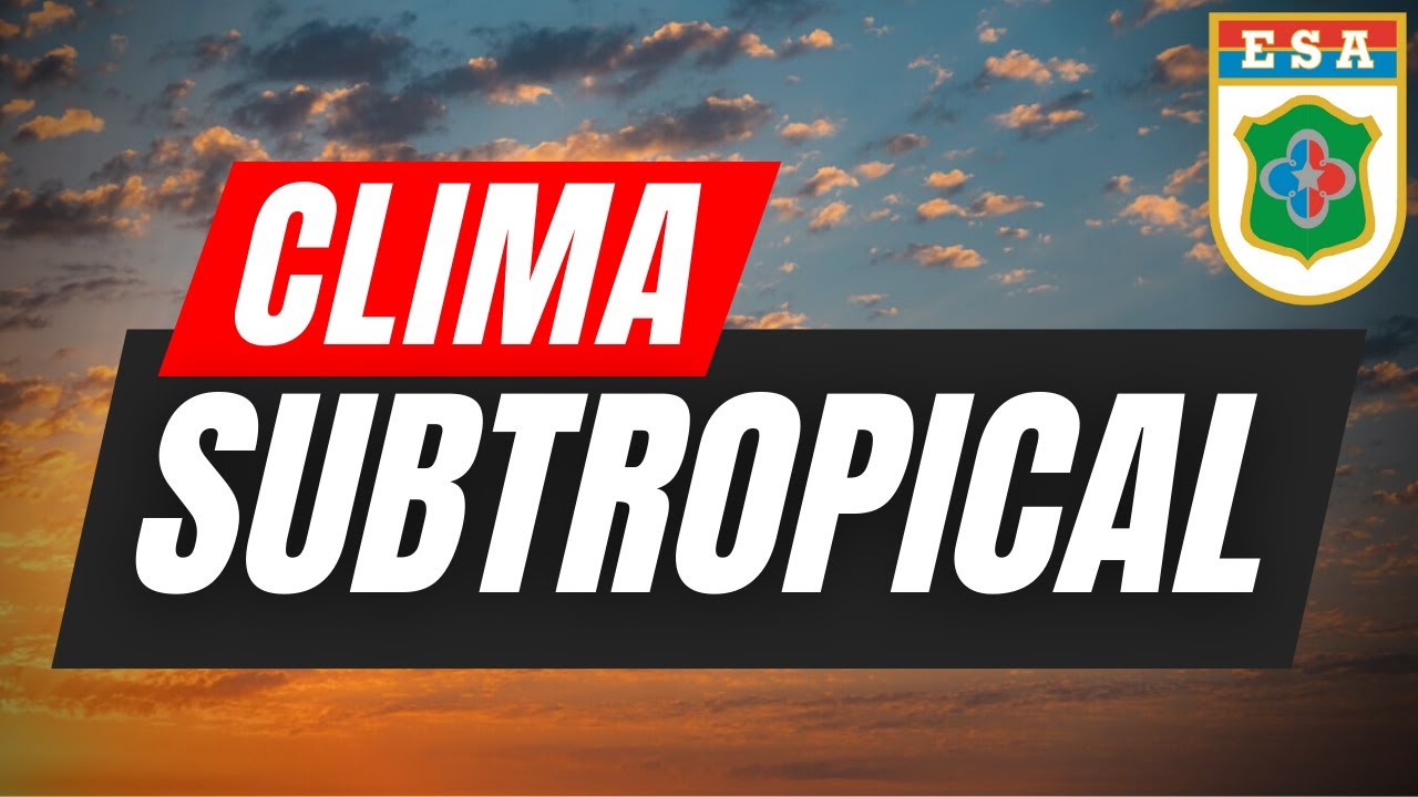 Características do clima subtropical no Brasil !