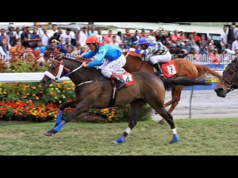 Bulsara -  As The Old Wine