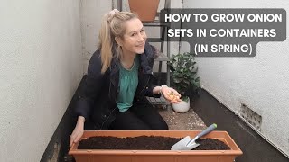 How To Grow Onion Sets In Containers In Spring! / Step-By-Step / For Beginners / UK