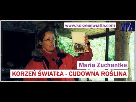 Boli wszystkie mięśnie ciała u kobiet Podstawowe zasady rekrutacji i wzrostu masy mięśniowej