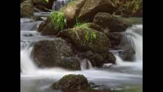 167 - EU E O RIO - Miltinho e Emilio Santiago