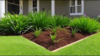 6 Ways to Get Rid of Quackgrass: A Lawn Owner