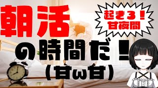 起きろ！バーチャル女装お兄さんの朝活！