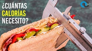Cuántas calorías necesitas