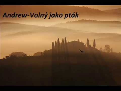 Andrew-Volný jako pták