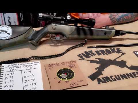 Beeman 1022 .177/.22 dual caliber 495fps air rifle  review