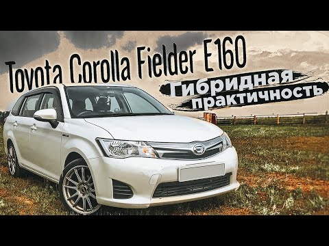 Toyota Corolla Fielder E160 | Самый желанный универсал из Японии