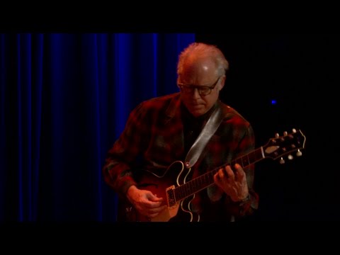Bill Frisell - Goldfinger (eTown webisode #986)
