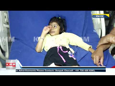 Three Dogs Attack 5-Year-Old Girl in Belagavi, Leaving Her Seriously Injured