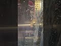 1510644 CNC-svarv HAAS ST-20-SSHE -2010 }}