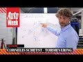 Torsievering - Cornelis schetst