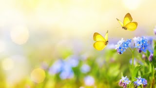 התעוררות השינה | תוכנית בשידור חי! לימוד בספרי רבי נתן מברסלב זיע"א (הרב ברוך זרובבל) - התמונה מוצגת ישירות מתוך אתר האינטרנט יוטיוב. זכויות היוצרים בתמונה שייכות ליוצרה. קישור קרדיט למקור התוכן נמצא בתוך דף הסרטון