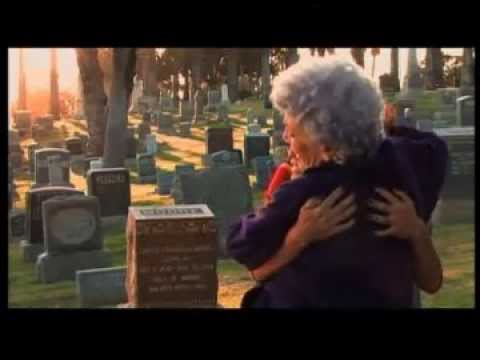 Thumbnail for video: The Eggplant Lady - Manifest Mystery Trailer Thumbnail for video: The Eggplant Lady - Manifest Mystery Trailer