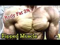 Ripped Muscle 究極のカット　クリスマスツリー
