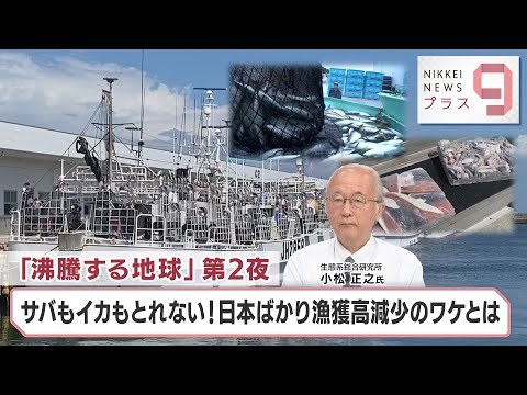 漁業が生態系に及ぼす影響